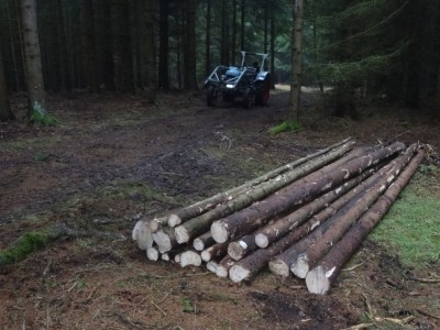 Ausbeute von heute -2.jpg