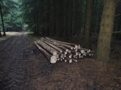 Ausbeute von heute -1.jpg