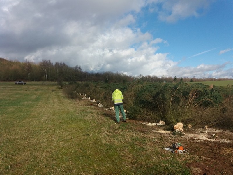 20170309_153653 (1).jpg