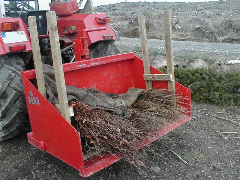 Bild 016 (Medium).jpg