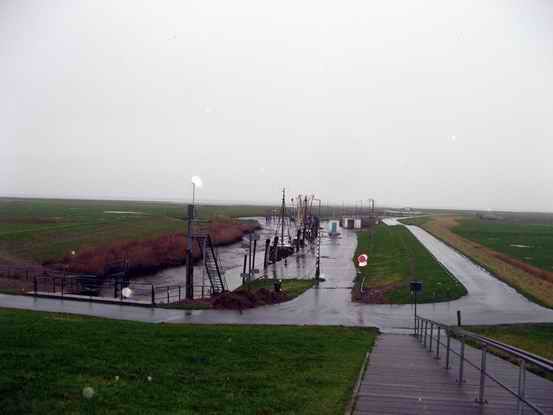 107.jpg