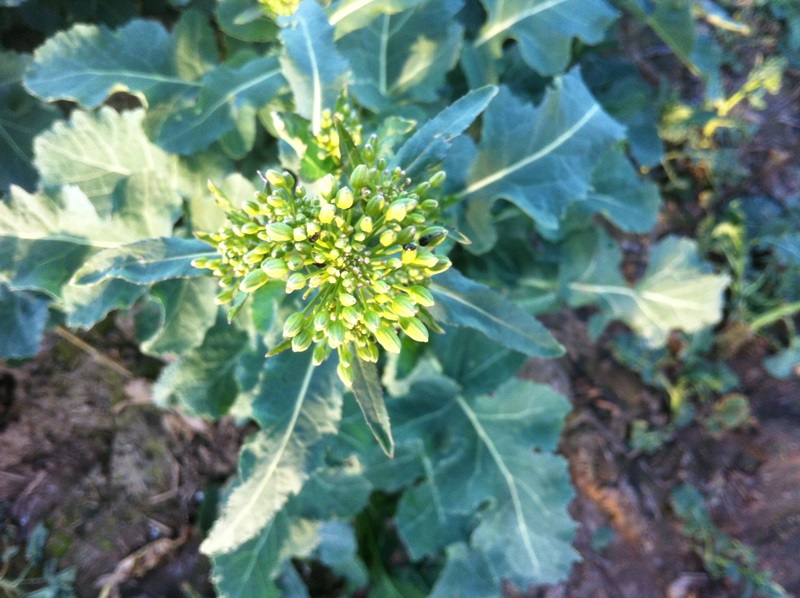 Ausflug Samstag 029.JPG