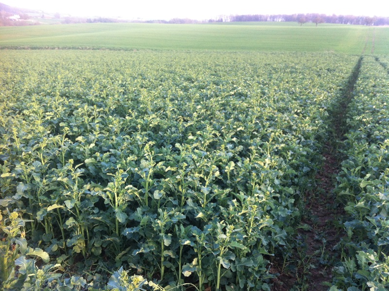 Ausflug Samstag 031.JPG