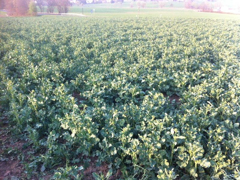 Ausflug Samstag 036.JPG