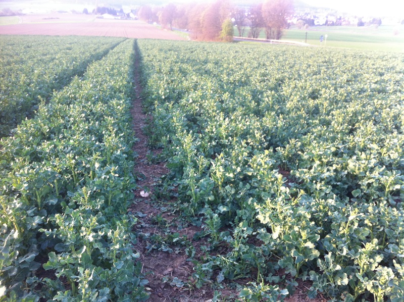 Ausflug Samstag 037.JPG