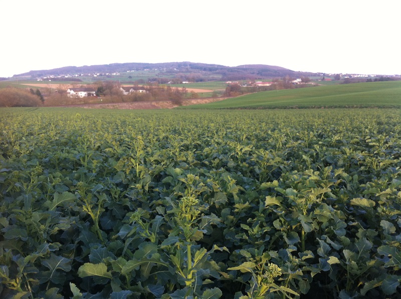Ausflug Samstag 033.JPG