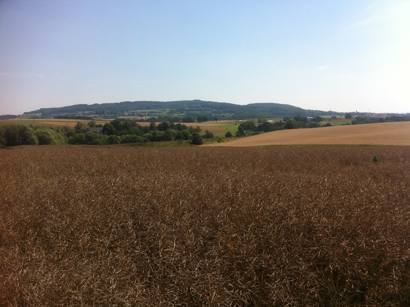 iPhone-Bilder 003.JPG