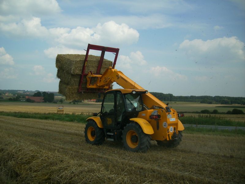 Ballengabel 001.jpg