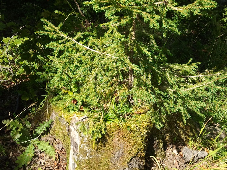2012-09-08 13.39.56.jpg