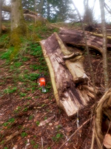 IMG20240330101708 -k.jpg