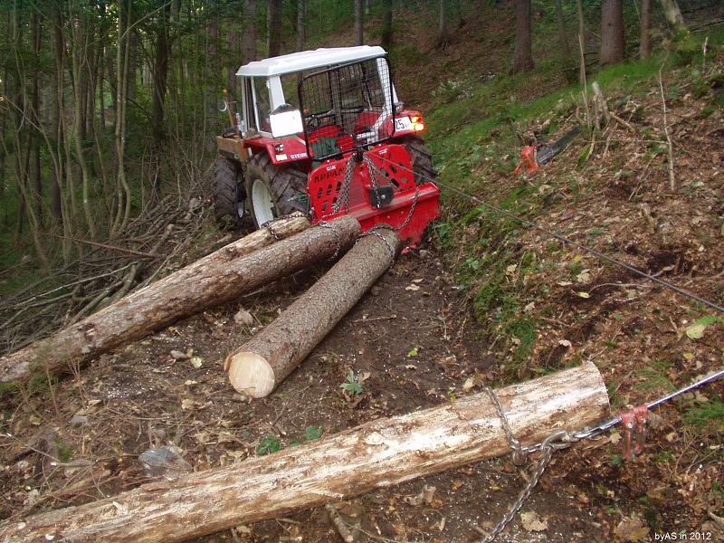 Gut_abgestuetzt_P9210004_2.JPG