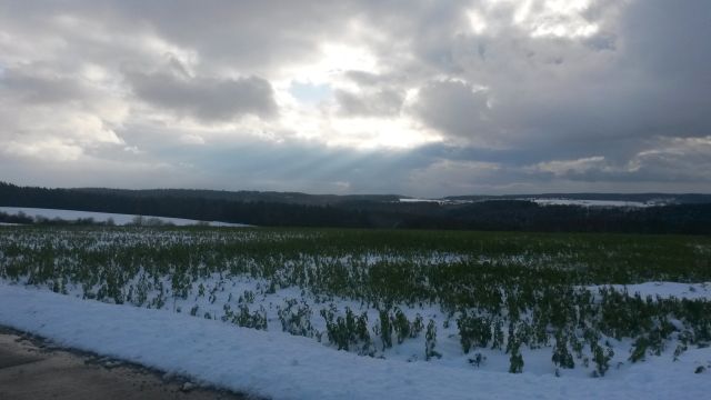 Eindrücke 17.01 (4).jpg