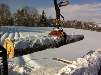 IMG_1350 - Kopie.JPG