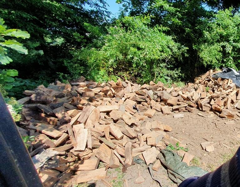K1_Brennholz aus 2018.JPG