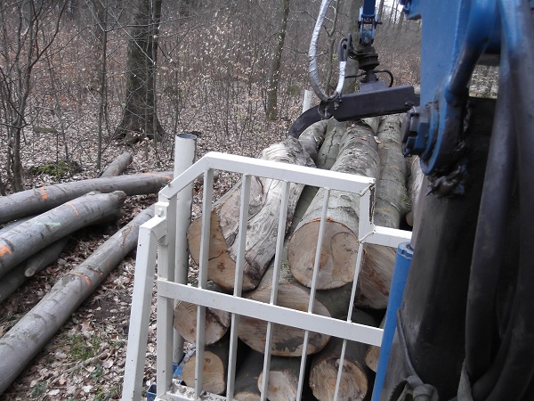 Holzabfuhr Teil 3 021.JPG