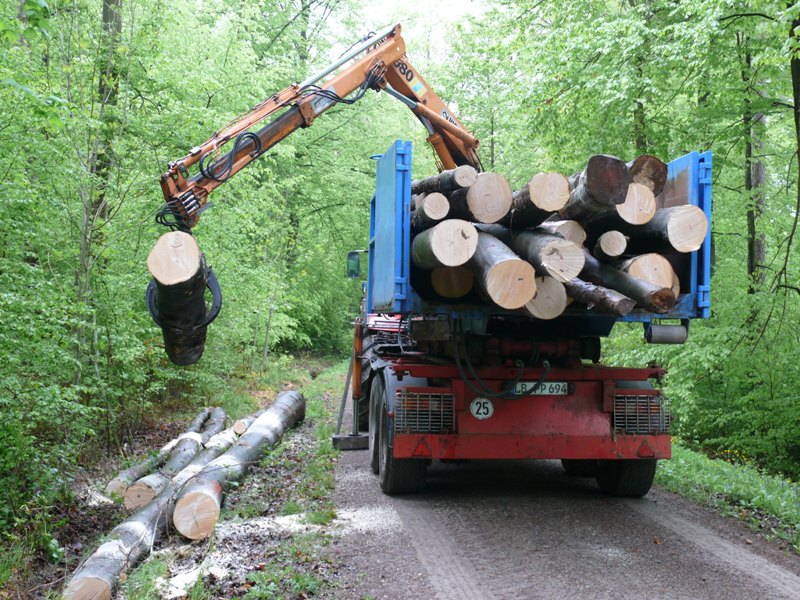 Holz laden.jpg