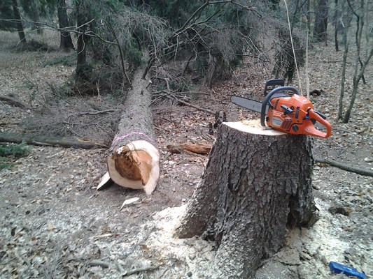 2012-04-07 14.11.47.jpg