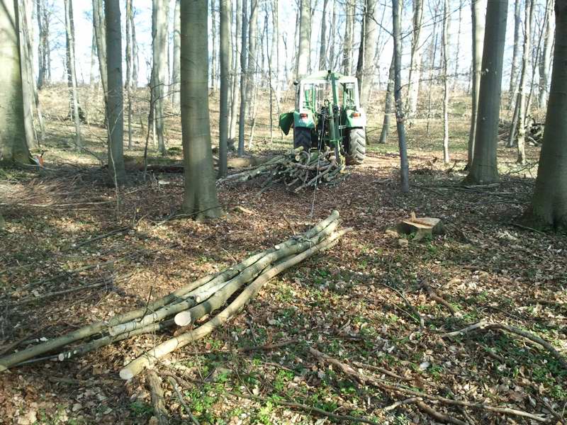 2012-04-03 09.52.32.jpg