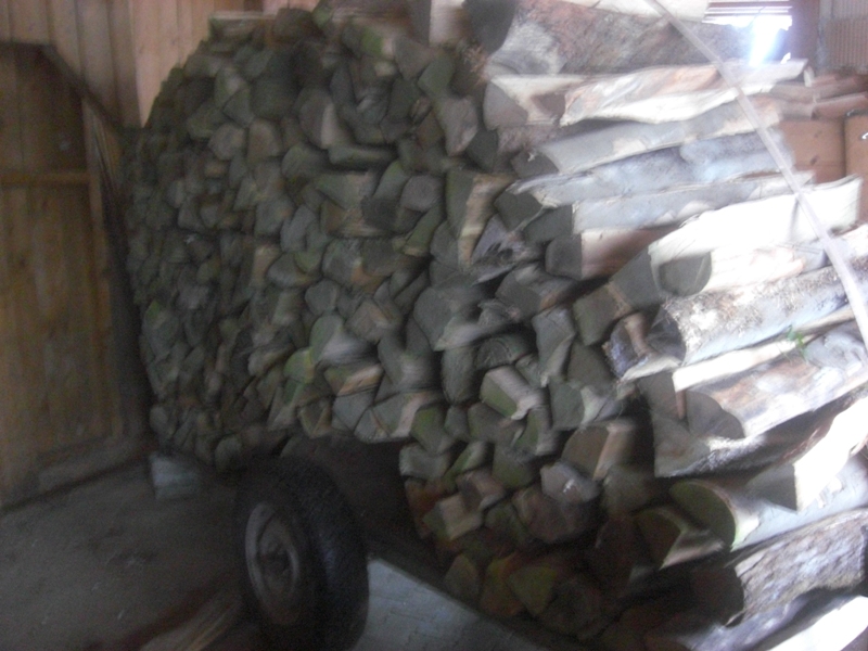 Holzwagen.JPG
