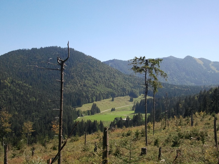 2012-09-08 13.39.01.jpg