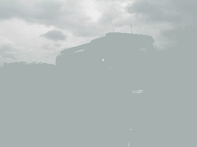 besondere Begegnung im Kyrill-Wald.JPG