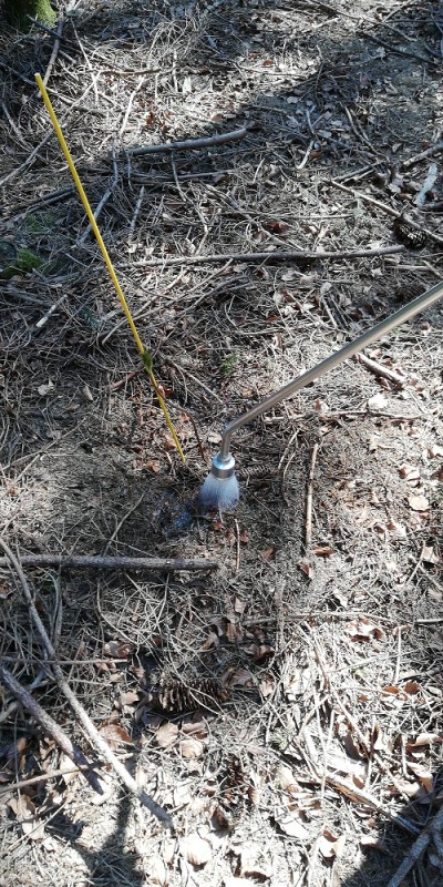 IMG-20200422-WA0008 klein.jpeg