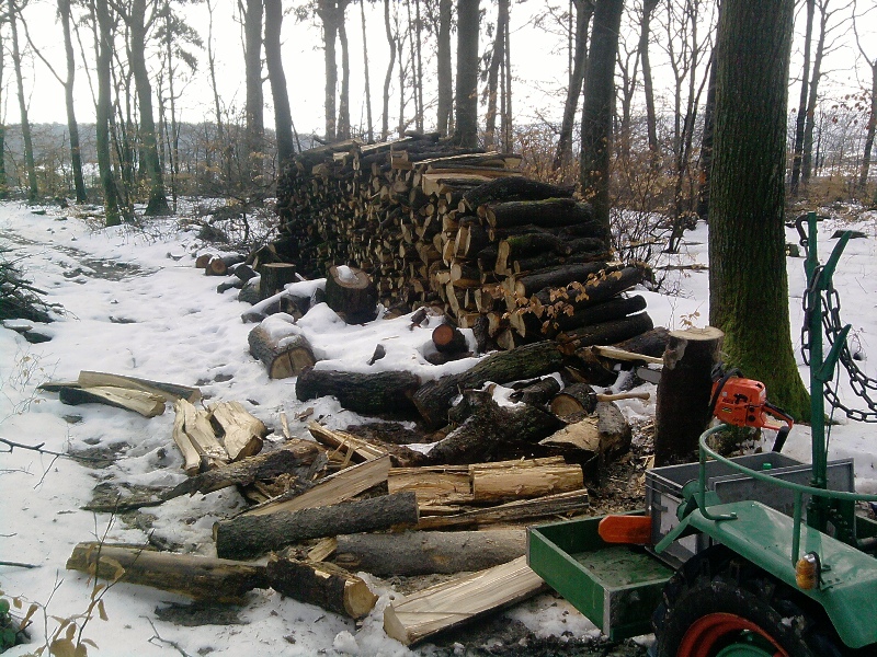 Holz machen 1.jpg