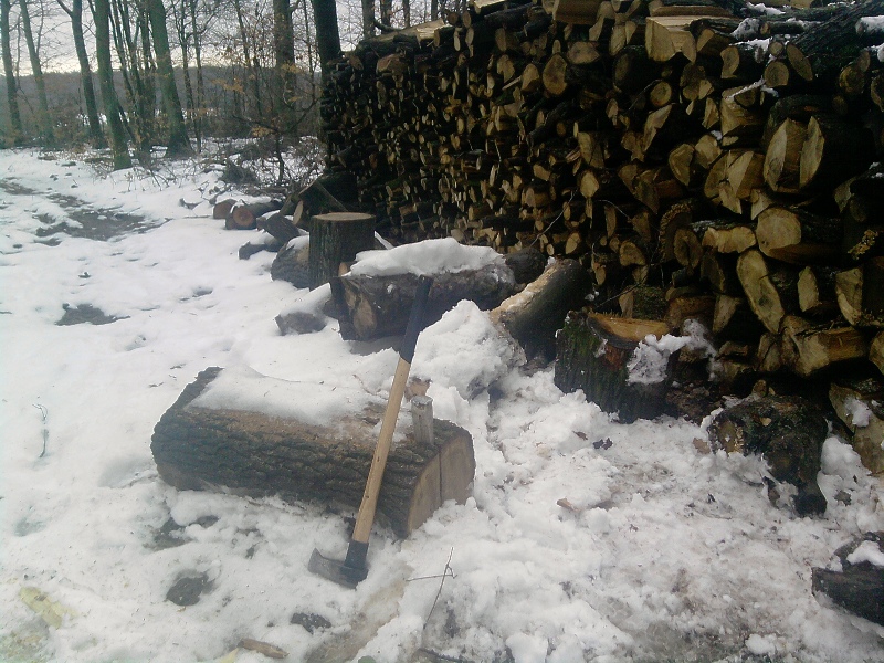 Holz machen 3.jpg