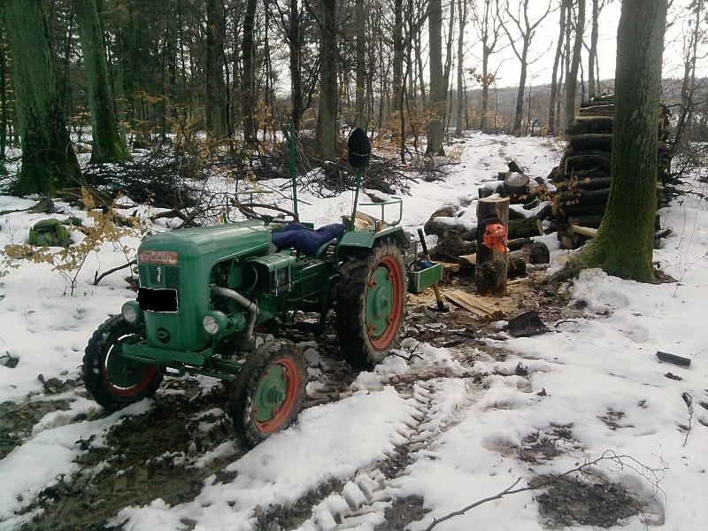 Holz machen 4.jpg
