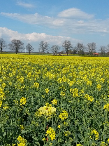 2016-04-16 15.22.39.jpg