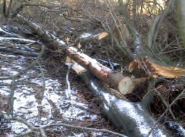 20140128_141840 (640x473).jpg