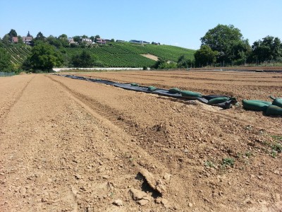 20130720_120708_2.jpg
