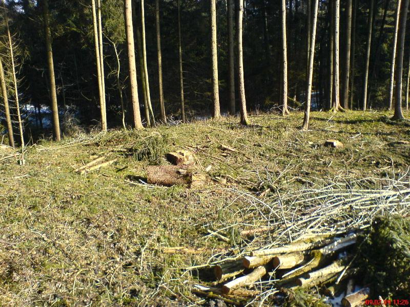 09-Feb-09_Kahlschlag_V02.jpg