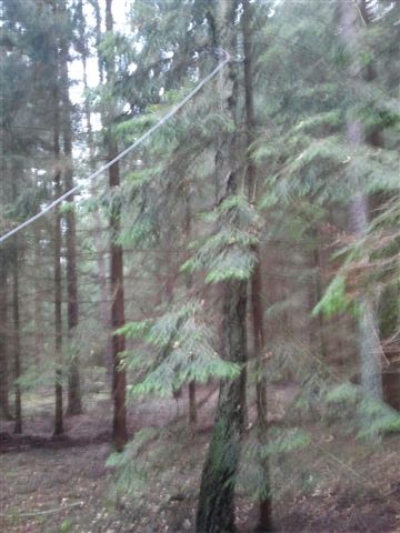 2012-11-17 13.38.58.jpg