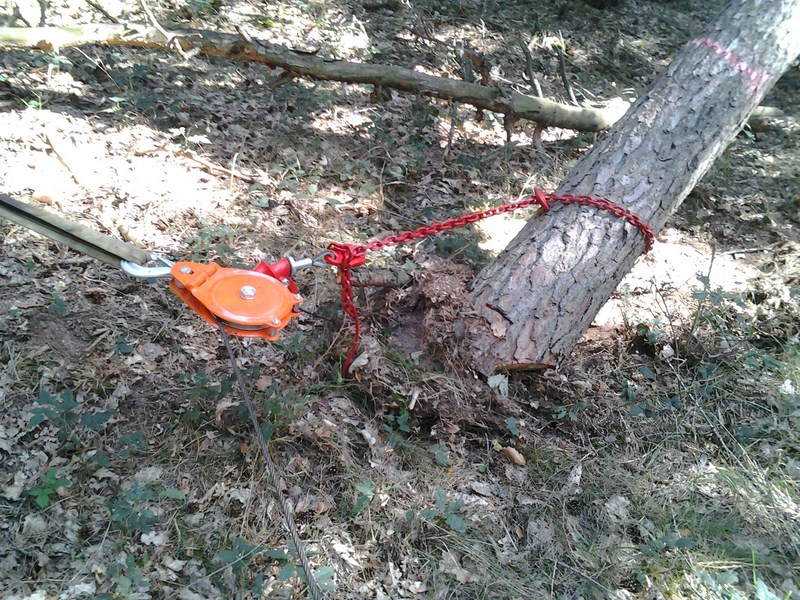 2012-08-20 09.54.58.jpg