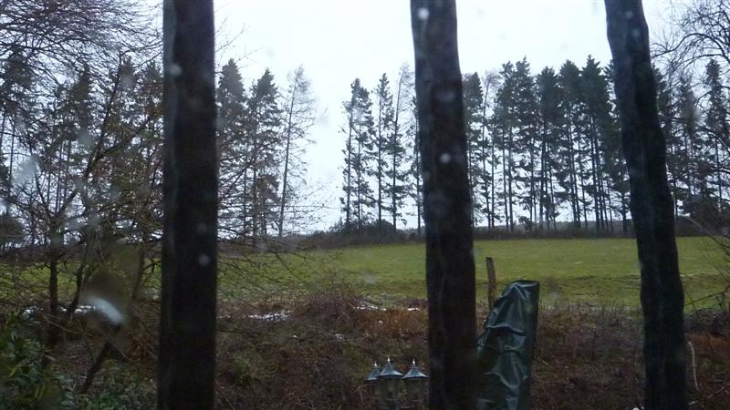 P1040424 (Medium).JPG