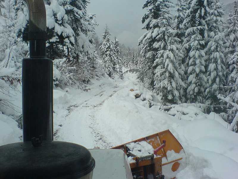 winter6.jpg