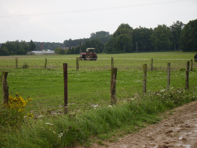 Stoppelfeldrennen 2010 014.jpg