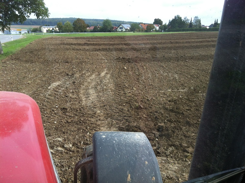 2014-09-26 11.44.25.jpg