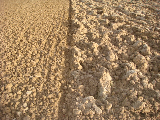 Weizensaat 2022 Bild 4.JPG