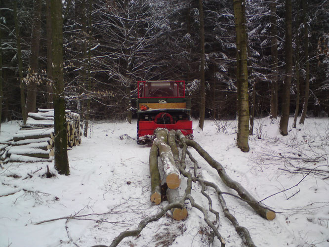 Wald2-9_01_2010.jpg