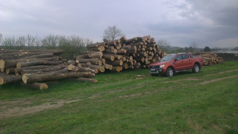 IMAG0493 (1024x577).jpg