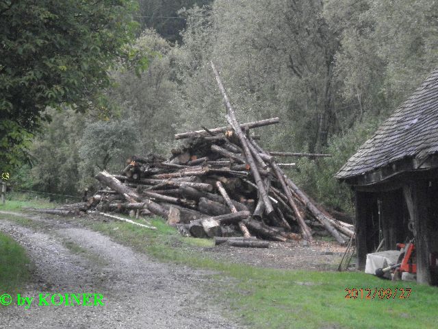 P9271339.JPG