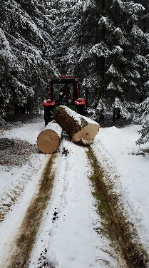 2015-11-29 19.17.09.jpg