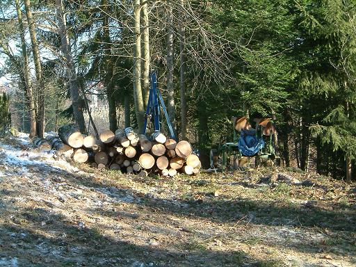 wald.verkl 075.JPG