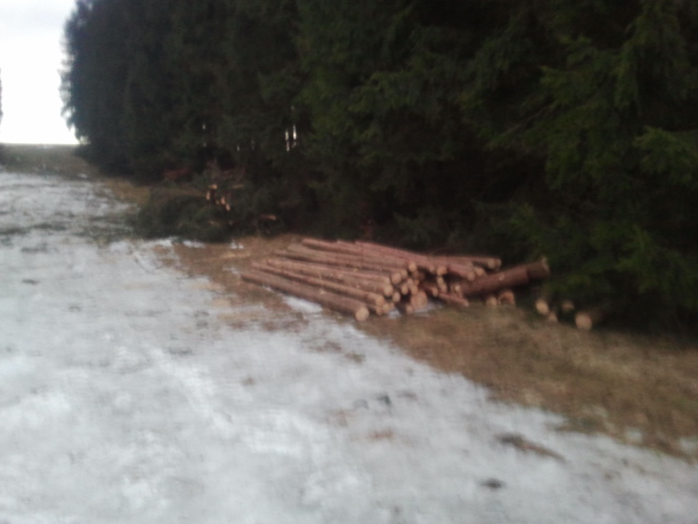 2012-02-25 17.41.23.jpg