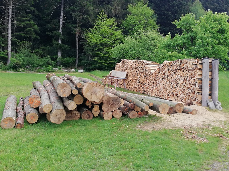 IMG_20180610_124819 - Klein.jpg