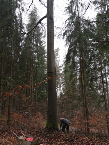 2020-11-21 08.58.53_Bildgröße ändern.jpg