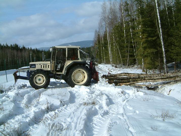 Holz 010-kl.JPG