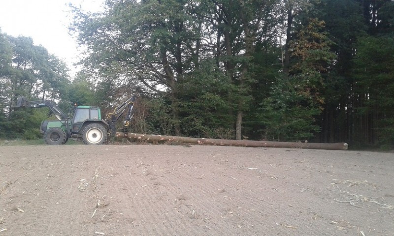 20180817_192108 klein.jpg